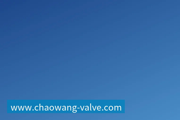 好博体育哈兰德社媒晒与全场最佳奖杯合照：有些时刻无法用言语形容