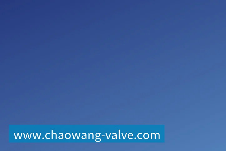 队报：巴黎卖拉莫斯和李刚仁收入破亿，将签阿克利乌舍和迪奥曼德